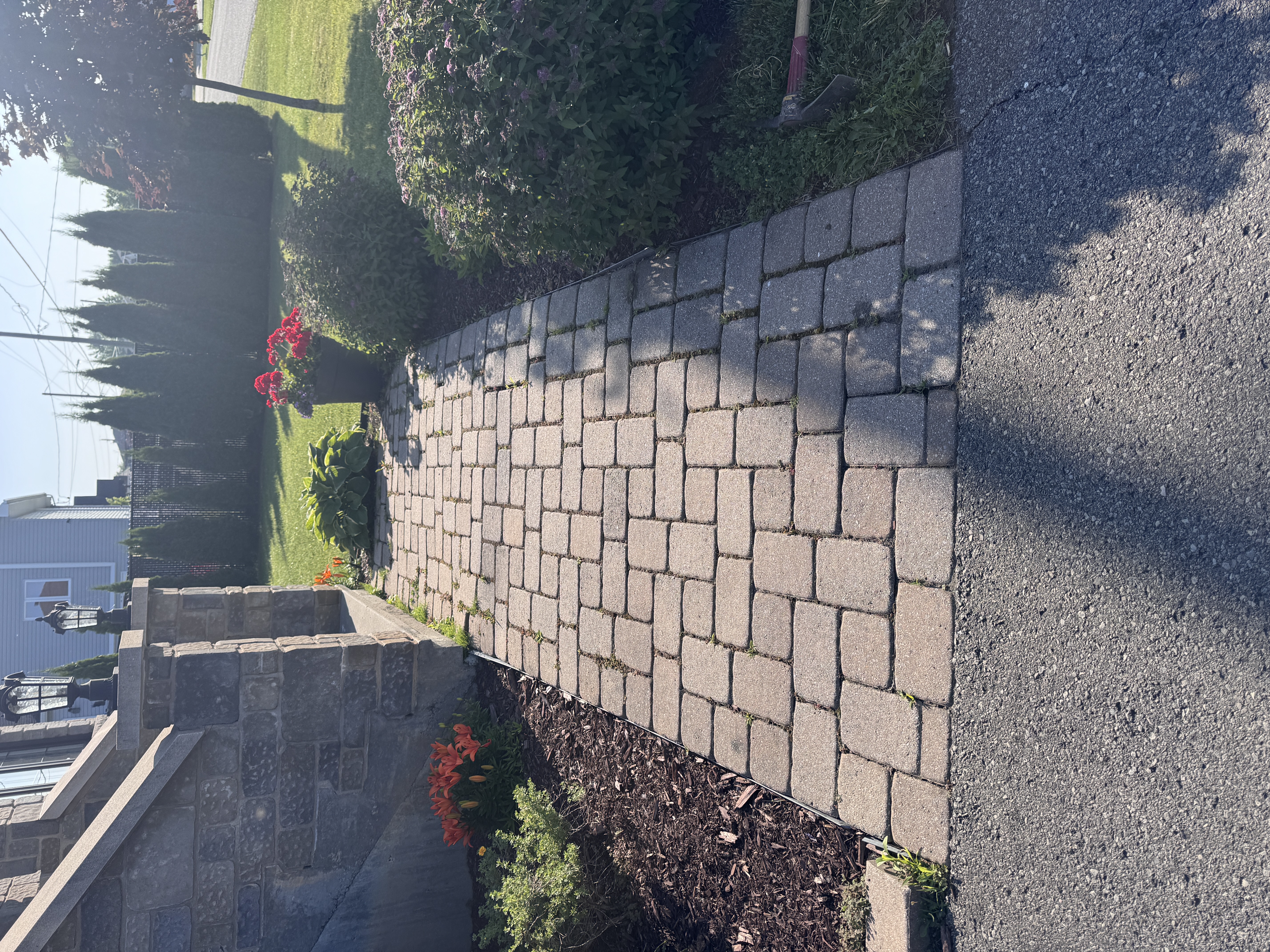 Entretien pavé uni — avant